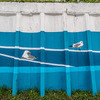 Морская тема преобладает в росписи владивостокских стен  — newsvl.ru