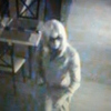 Подозреваемый в краже, переодетый в женскую одежду — newsvl.ru