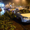 Поврежденный автомобиль. Упавшие деревья - самое распространенное следствие циклонов в городе — newsvl.ru
