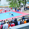 Трикинг - это спортивное движение, сочетающее элементы гимнастики, боевых искусств, брейкданса — newsvl.ru