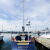 V Международная выставка яхт и катеров «Vladivostok Boat Show 2013» открылась 17 мая на стоянке клуба «Семь футов» — newsvl.ru