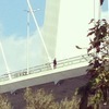 На Золотом мосту во Владивостоке предотвращена попытка суицида — newsvl.ru