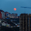 Даже те, кто смотрел на небо из города, несмотря на световой шум от фонарей и подсветки, смогли отметить необычный красноватый оттенок Луны — newsvl.ru