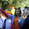Владивосток празднует «День тигра» — newsvl.ru