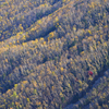 Каждый год тысячи туристов идут в горы, чтобы полюбоваться лесными красотами — newsvl.ru