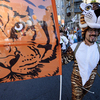 Тигр на тигре, тигром погоняет... — newsvl.ru