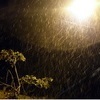 Снег на зеленой траве минувшим вечером могли наблюдать жители улиц Снеговая, Карьерная, Руднева и частично Выселковой — newsvl.ru