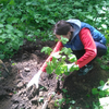 Горожане высадили краснокнижные деревья в лесу на Тихвинской (ФОТО)