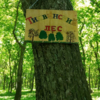 Если горожанам не удастся отстоять лес, здесь построят детский сад — newsvl.ru