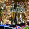 Соревнования получили статус квалификационных, и их лучшие участники могут пройти отбор на всероссийские состязания РКФ — newsvl.ru