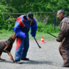 В первой половине четвертого упражнения собакам-спортсменам предстояло произвести задержание одного из фигурантов, затем отразить нападение на себя второго — newsvl.ru