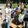 Кроме ДКЖД, мусор собирали в кампусе ДВФУ — newsvl.ru