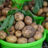 Цена на молодой картофель - 150-200 рублей — newsvl.ru