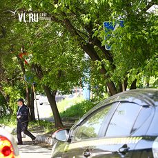 Автомобилисты Владивостока жалуются на скрытые ветвями деревьев и кустов дорожные знаки 