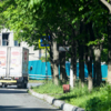 Дорожные знаки на Невельского порой можно не заметить из-за ветвей деревьев  — newsvl.ru