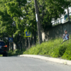 Дорожные знаки на Невельского порой можно не заметить из-за ветвей деревьев  — newsvl.ru