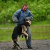 «Злоумышленник» может отбиваться от собаки с помощью резиновой дубинки — newsvl.ru