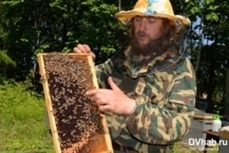 Пчеловоды ЕАО объединятся для увеличения экспорта в Китай
