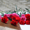 В ТОВМИ возложили цветы к памятнику выпускникам института, погибшим на атомоходе "Курск"  — newsvl.ru