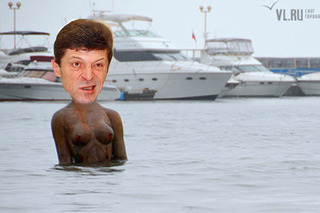 Несколько десятков голов обрела изувеченная русалка во Владивостоке — newsvl.ru