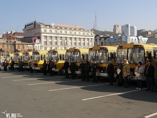 16 новеньких автобусов отправятся в сельские школы — newsvl.ru