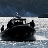 Под Владивостоком прошли учения пловцов противодиверсионной службы ТОФ — newsvl.ru