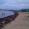 Пляж песочный, протяженностью около 2-х километров. Бухта Нарва — newsvl.ru