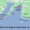 Карта температуры воды в акватории на 16 августа — newsvl.ru