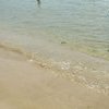 Пляж в бухте Анна: скопления водорослей ни в воде, ни на берегу нет — newsvl.ru