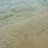 Пляж в бухте Анна: водорослей ни в воде, ни на берегу нет — newsvl.ru
