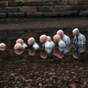 Исаак Кордал — испанский концептуальный уличный художник, создающий миниатюрные скульптуры людей, интегрируя их в городской пейзаж.  — newsvl.ru