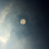 Венера проходит по диску Солнца — newsvl.ru
