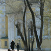 В Покровском парке зазеленели деревья — newsvl.ru