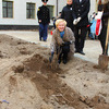 Как приятно посадить дерево! — newsvl.ru