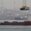 С начала строительства до стыковки моста прошло 1359 дней — newsvl.ru