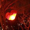 Сердце на дереве — newsvl.ru