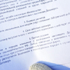 В договоре указана оплата за услуги агитаторов - 500 рублей. Подлинность документа не доказана. — newsvl.ru