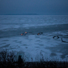 Цветок "ВВВ" остался на льду Амурского залива — newsvl.ru