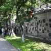 Обычная опорная стена превратилась в необычную галерею — newsvl.ru