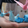 все желающие могли изготовить своими руками оригами  — newsvl.ru