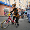 В обед по центральной улице можно было проехать только в костюме и на велосипеде — newsvl.ru