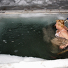 Крещенские купания на Набережной Владивостока — newsvl.ru