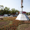 Во Владивостоке на кольце Инструментального завода сажают цветы — newsvl.ru