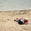 Люди загарают на пляже — newsvl.ru