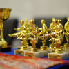 Во Владивостоке проходят большие соревнования по каратэ — newsvl.ru