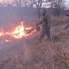 "Земля леопарда" в огне — newsvl.ru