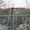 Свалка на кладбище — newsvl.ru