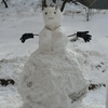 Снеговик без Елены — newsvl.ru