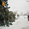 Главная елка Владивостока рухнула из-за штормового ветра — newsvl.ru