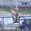 ВНИРО перевозит косаток и белух в неизвестных условиях — зоозащитники требуют показать, что животные в порядке